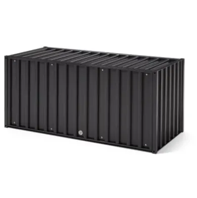 Container DS, mit Schloss