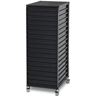Container DS Plus