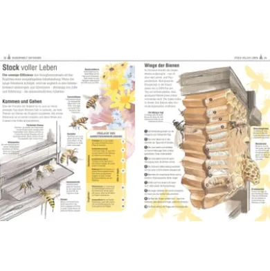 Das Bienen Buch