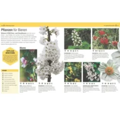 Das Bienen Buch