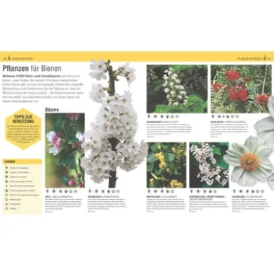 Das Bienen Buch