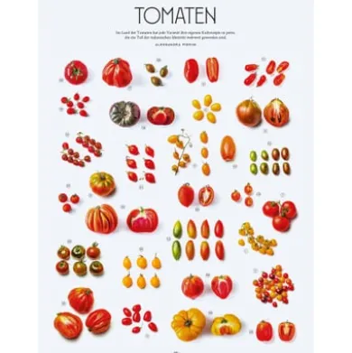 Die Gourmet-Bibel Italien