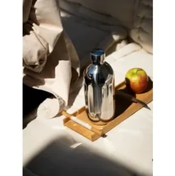 Edelstahlflasche zu Wassersprudler Carbonator Pro