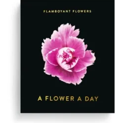 Jahreskalender Flamboyant Flowers