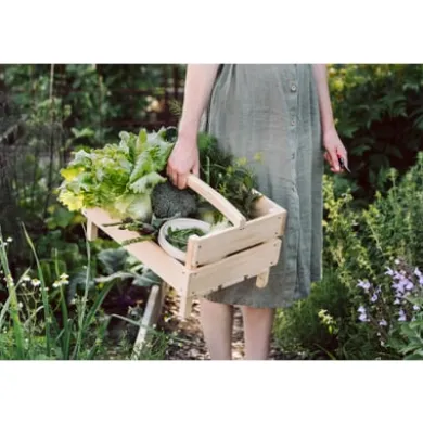 Kleine Gartenschere
