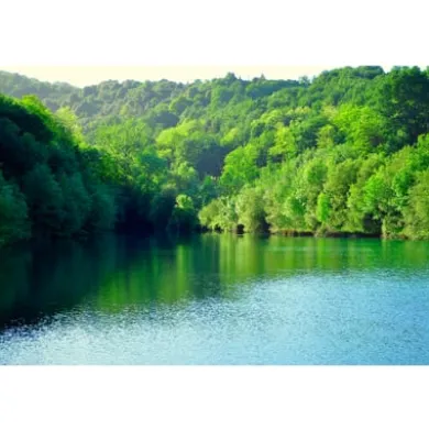 Lakesidebox Birke