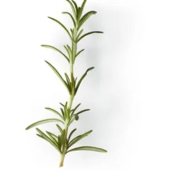 Nachfüller zu Naturseife Soeder