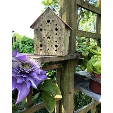 Nisthilfe Bienenhotel Bee's Inn