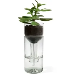 Pflanzgefäß Self Watering Bottle