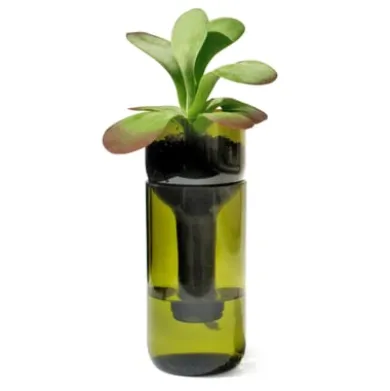 Pflanzgefäß Self Watering Bottle