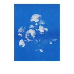 Postkarten-Set Riso