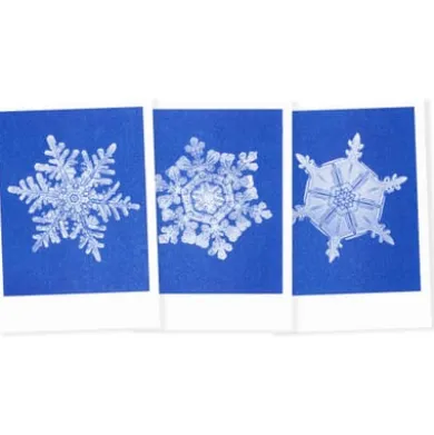 Postkarten-Set Riso Winter