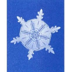 Postkarten-Set Riso Winter
