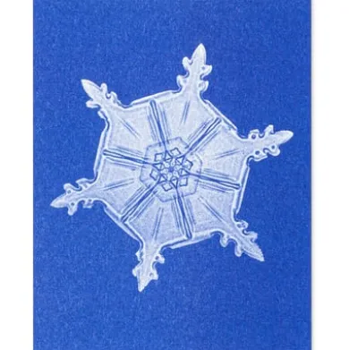 Postkarten-Set Riso Winter