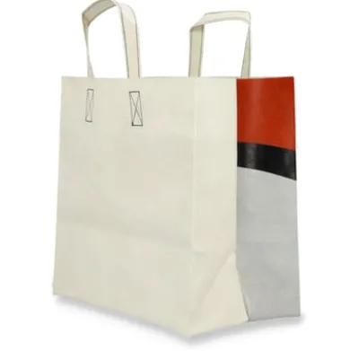 Tasche F250 Sonny