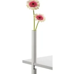 Vase CLEM