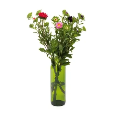 Vase Weinflasche