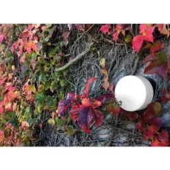 Wand- und Deckenleuchte Zylinder LED