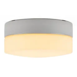 Wand- und Deckenleuchte Zylinder LED