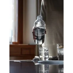 Wasserflasche zu Wassersprudler Carbonator 3